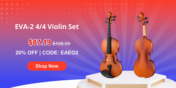 EVA-2 4/4 Violin Set Fiddle for Kids Beginners