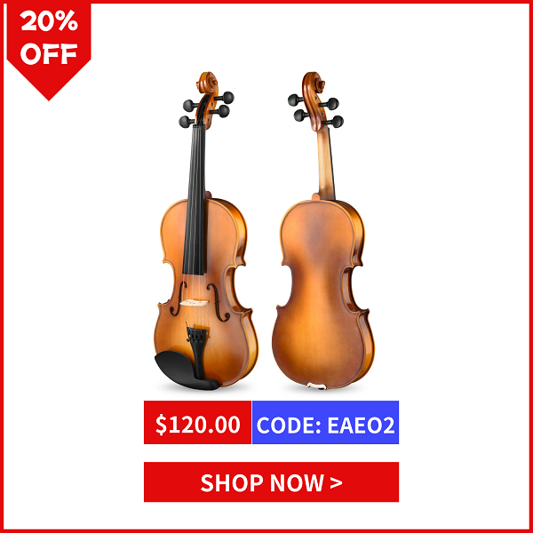 4/4 Violin Set Full Size Fiddle Solidwood for Adults