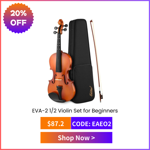 EVA-2 1/2 Violin Set for Beginners with Hard Case/Rosin/Shoulder Rest/Bow/Extra Strings
