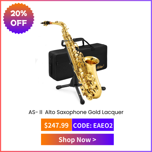 AS-Ⅱ Student Alto Saxophone E Flat Gold Lacquer Alto Beginner Sax Full Kit With Carrying Sax Case Mouthpiece Straps Reeds Stand