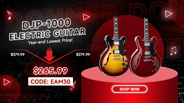 DJP-1000 335 Style Electric Guitar Kit for Jazz Semi-Hollow Body with Dual H Pickups