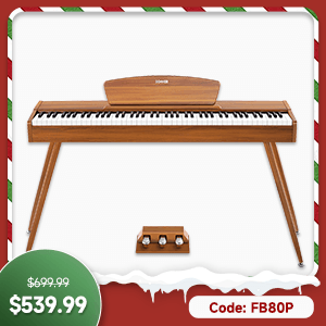DDP-80 Wooden Style 88 Key Weighted Digital Piano with Stand & 3 Pedal