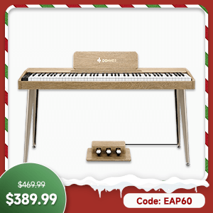 DDP-60 Wooden 88-Key Semi-Weighted Upright Digital Piano with 3-Pedal for Beginner