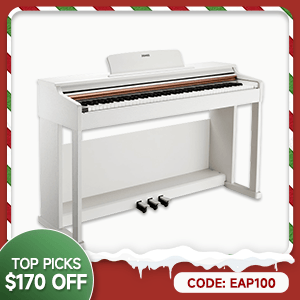 DDP-100 88 Key Weighted Hammer Action Upright Digital Piano for Beginners Black