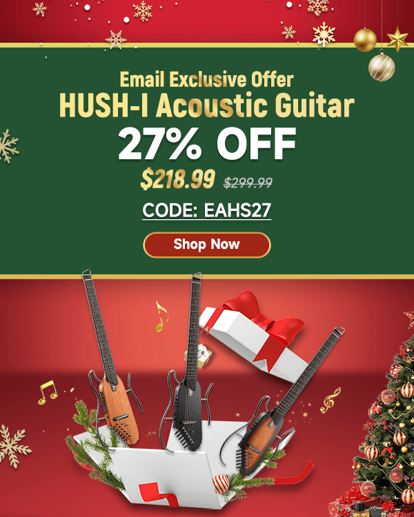 HUSH-I Acoustic-Electric Guitar Kit for Travel