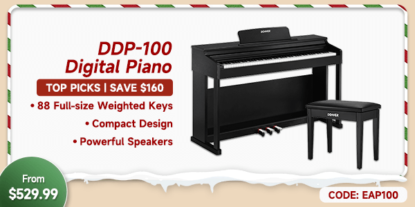 DDP-100 88 Key Weighted Hammer Action Upright Digital Piano for Beginners Black