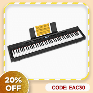 DEP-20 Portable 88 Key Weighted Digital Piano