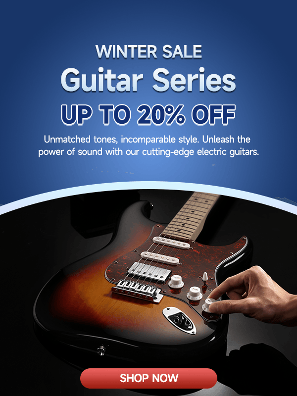 Guitar series up to 20% off