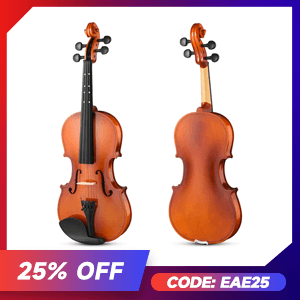 EVA-2 1/2 Violin Set for Beginners