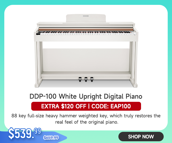 DDP-100 88 Key Weighted Hammer Action Upright Digital Piano for Beginners Black/White