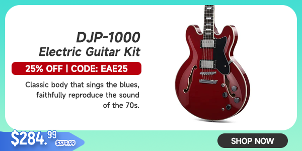 D-J-P-1000 335 Style Electric Guitar Kit for Jazz Semi-Hollow Body with Dual H Pickups