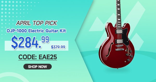 D-J-P-1000 335 Style Electric Guitar Kit for Jazz Semi-Hollow Body with Dual H Pickups
