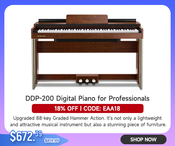 DDP-200 Wooden 88 Key Dynamic Graded Hammer Action Weighted Upright Digital Piano for Professionals