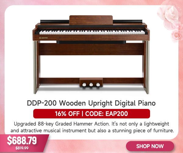 DDP-200 Wooden 88 Key Dynamic Graded Hammer Action Weighted Upright Digital Piano for Professionals