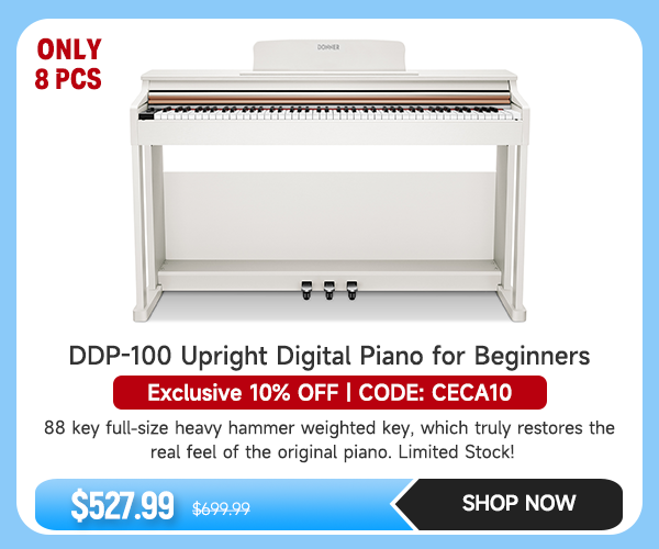 Donner DDP-100 88 Key Weighted Hammer Action Upright Digital Piano for Beginners Black/White